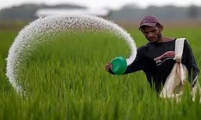 fertilizer 2.jpg