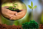 Fertilizer1 - Copy.png