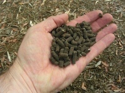 Fertilizer5.jpg